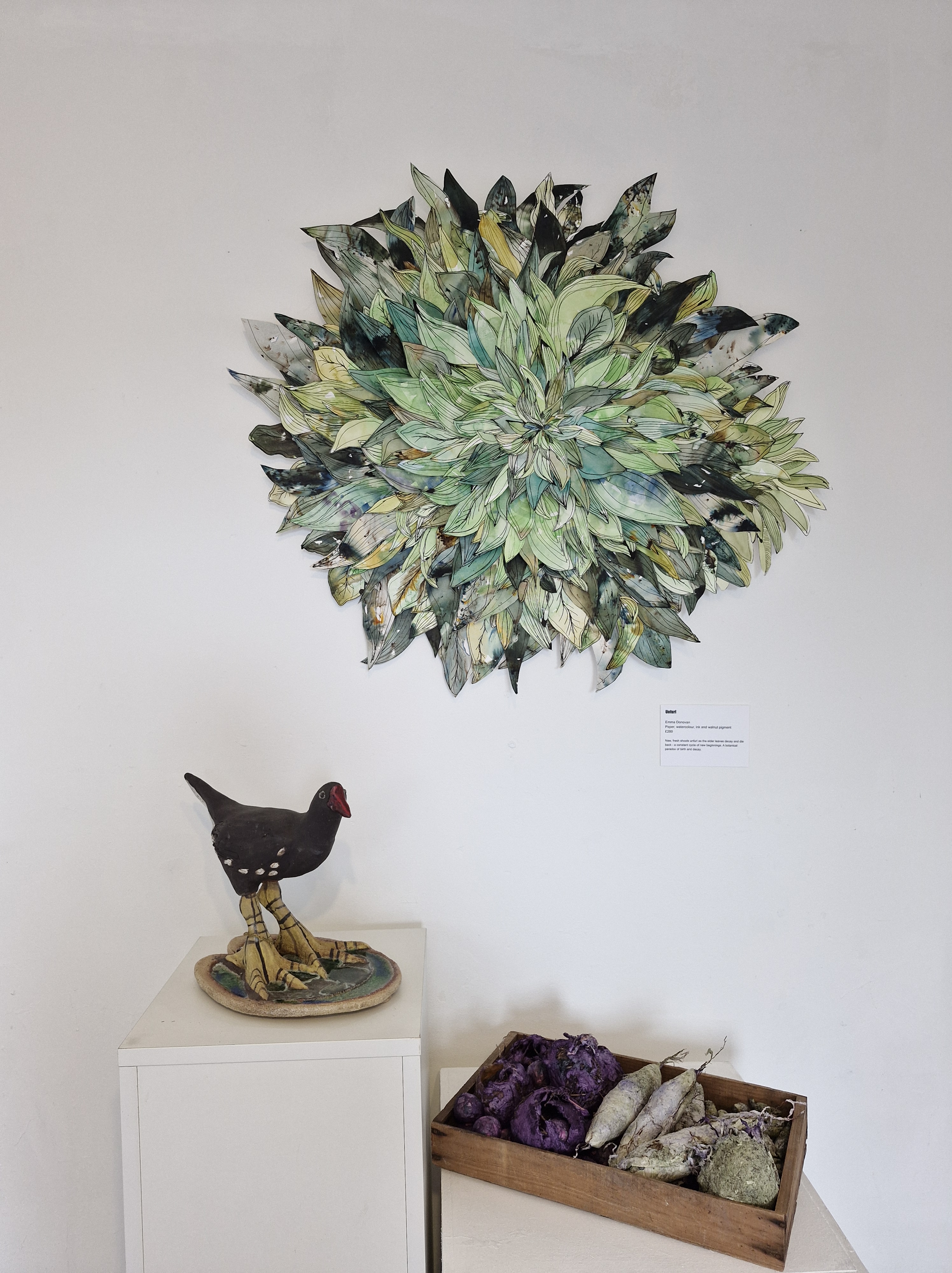 New Beginnings Spring Show 2025